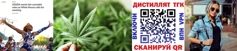 ТГК вейп  Купить  Барыш 